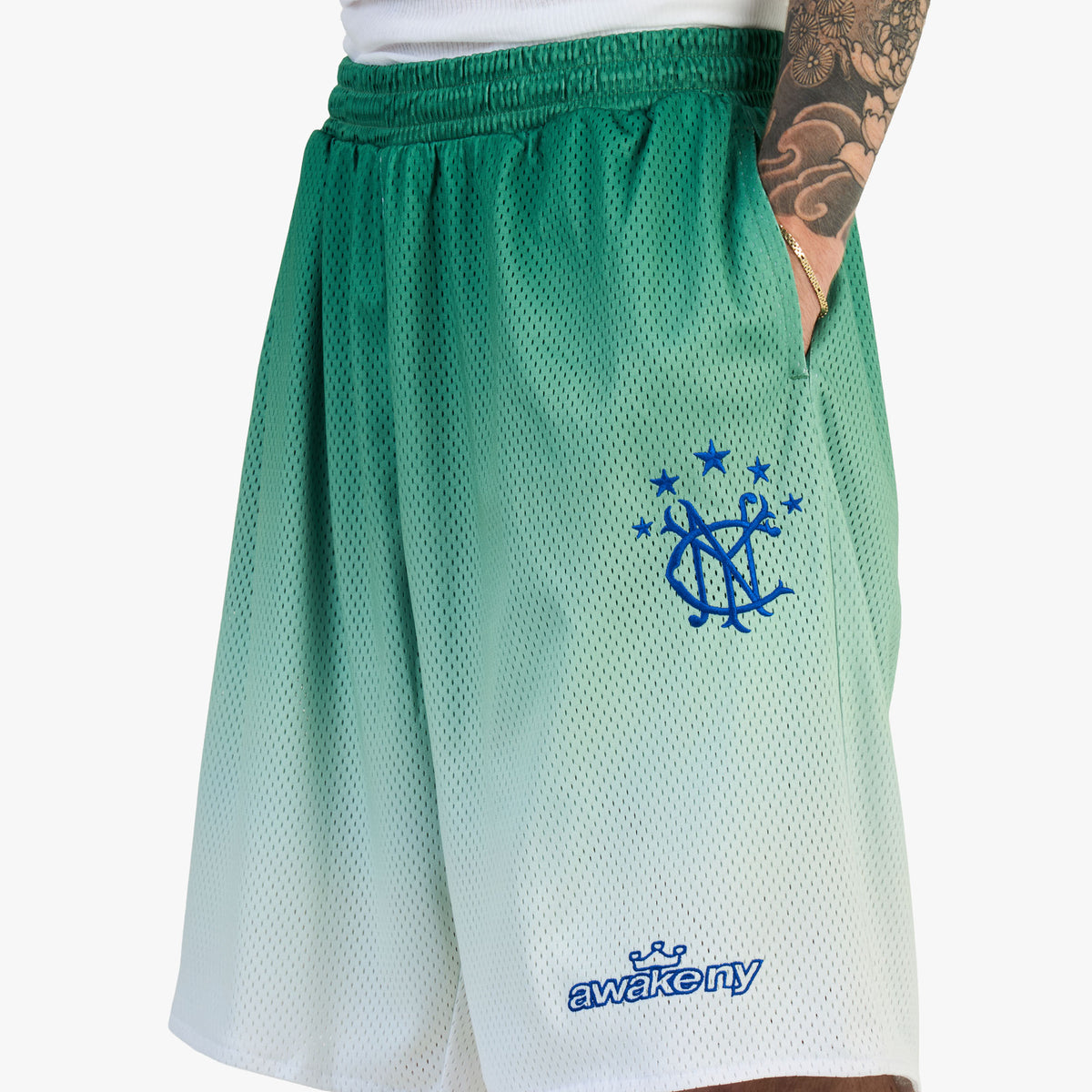 Awake NY Gradient Shorts / Green