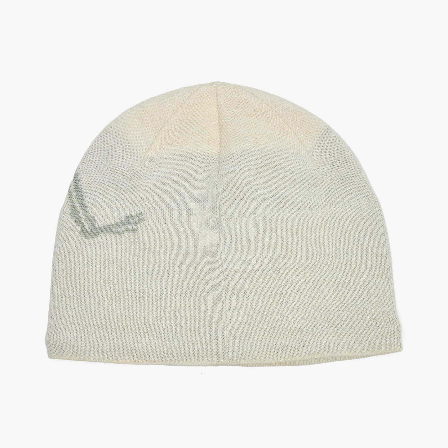 Arc'teryx Bird Head Toque Sea Salt / Habitat