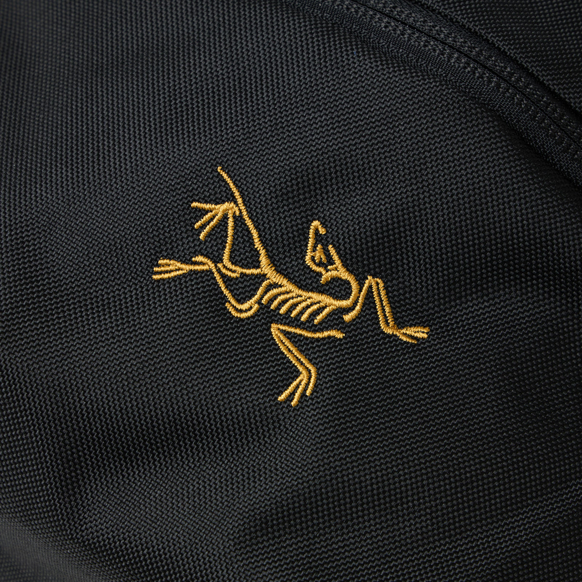 Arc'teryx Mantis 2 Waist Pack 24K Black