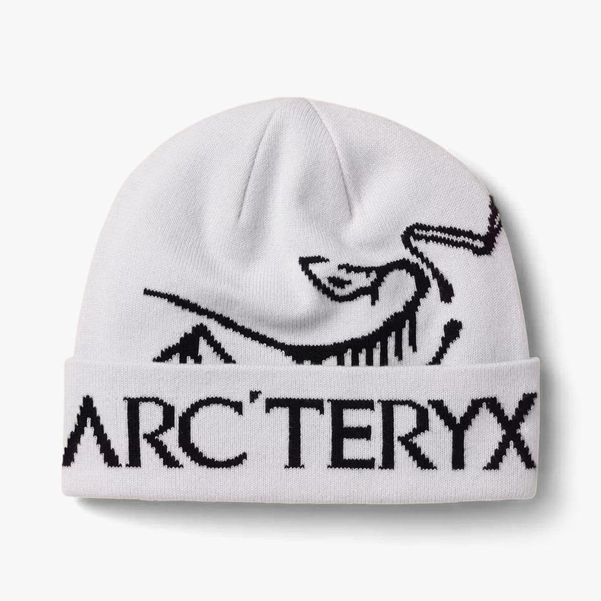 Arc'teryx Bird Word Toque / Orca