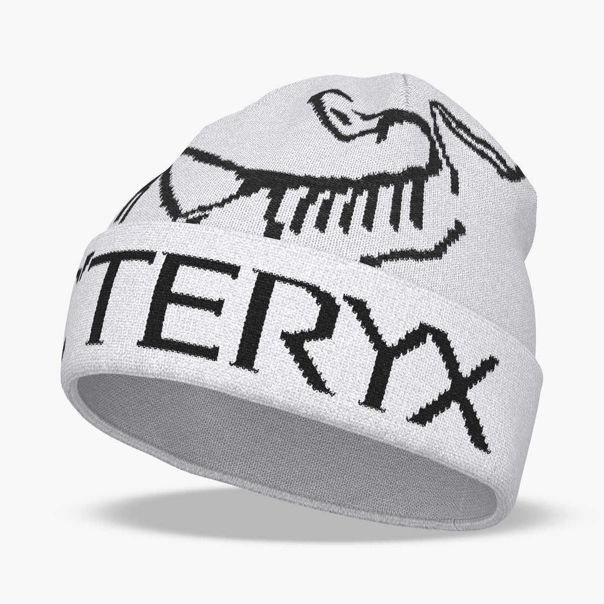 Arc'teryx Bird Word Toque / Orca