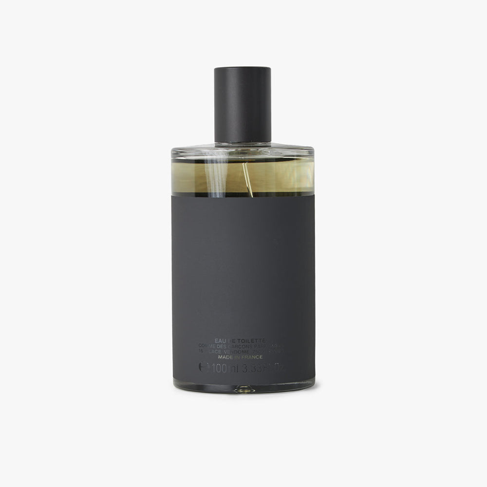 あっち - 美品 Comme des Garcon BLACK COMME des GARÇONS PARFUM Black Eau de Toilette / 100ml – Livestock