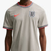 Nike x England x PALACE Academy Pro Pre-Match / Pewter Grey 3