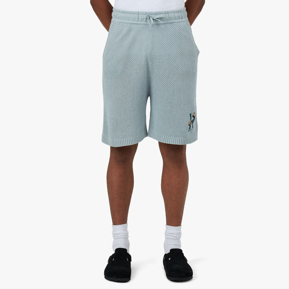 Honor The Gift Knit H Shorts / Slate