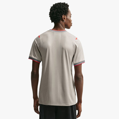 Nike x England x PALACE Academy Pro Pre-Match / Pewter Grey