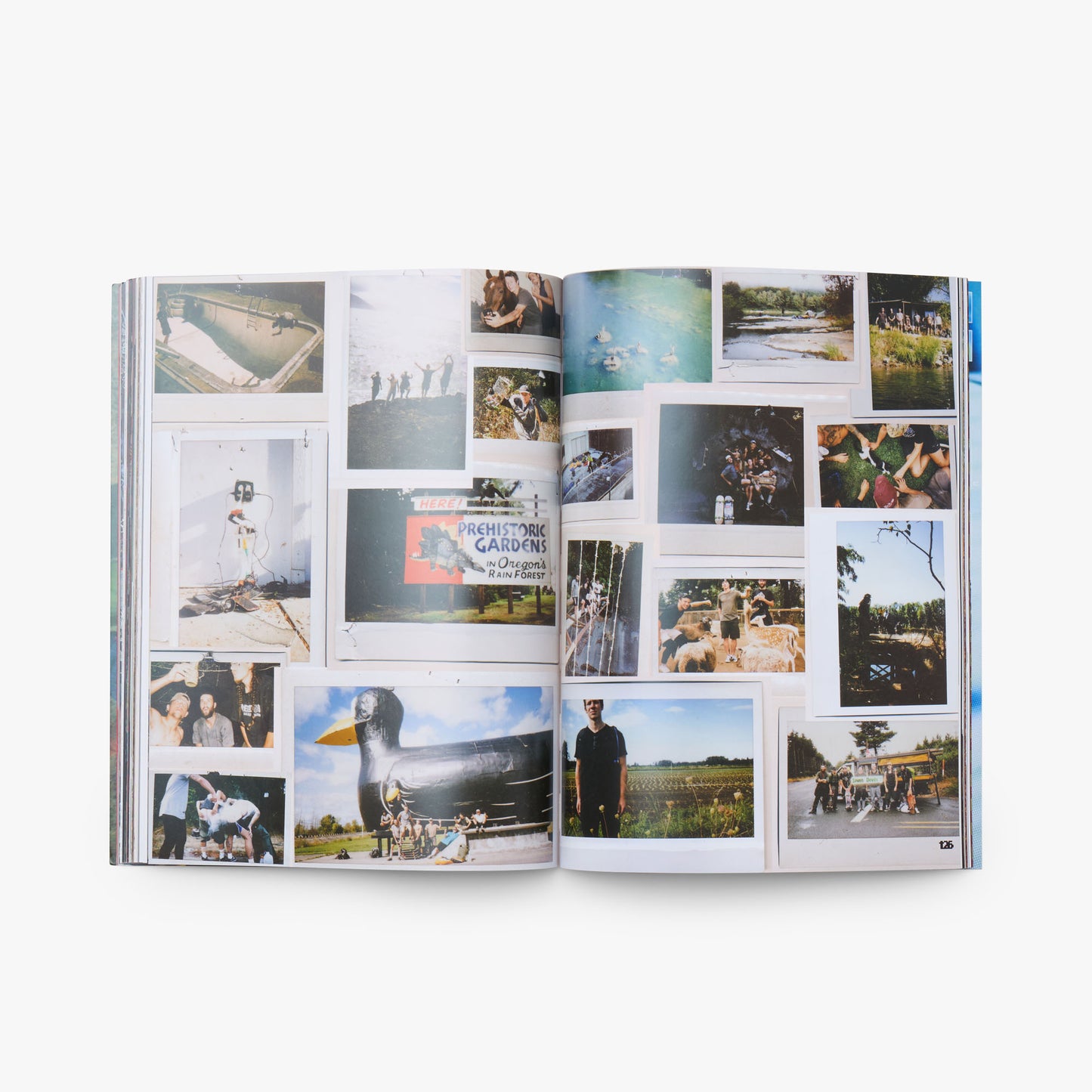 Lilypad Issue #6