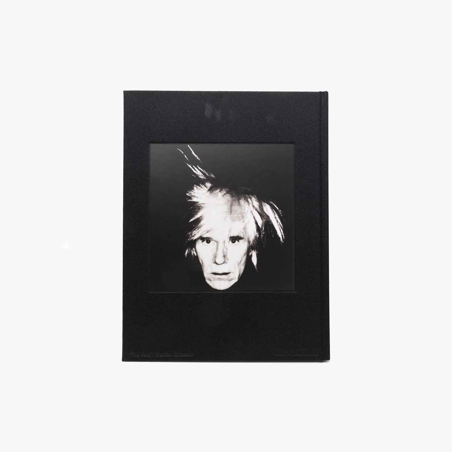 KAWS + Warhol