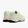 Salomon XT-6  Alpen Blossom Ice Flow / Sunny Lime   3