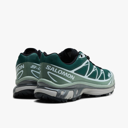 Salomon XT-6 / Bistro Green