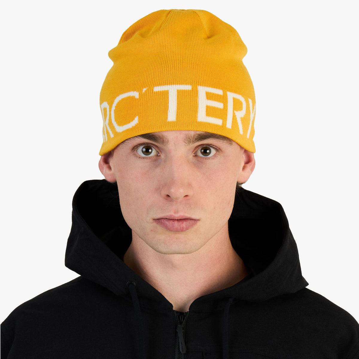 Arc'teryx Word Head Toque Larch / Arctic Silk