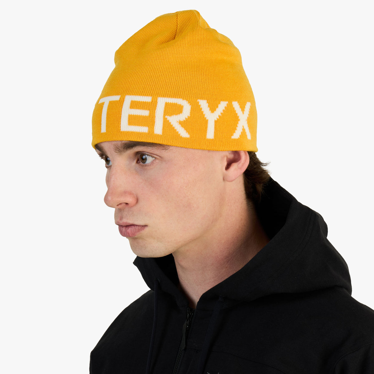 Arc'teryx Word Head Toque Larch / Arctic Silk