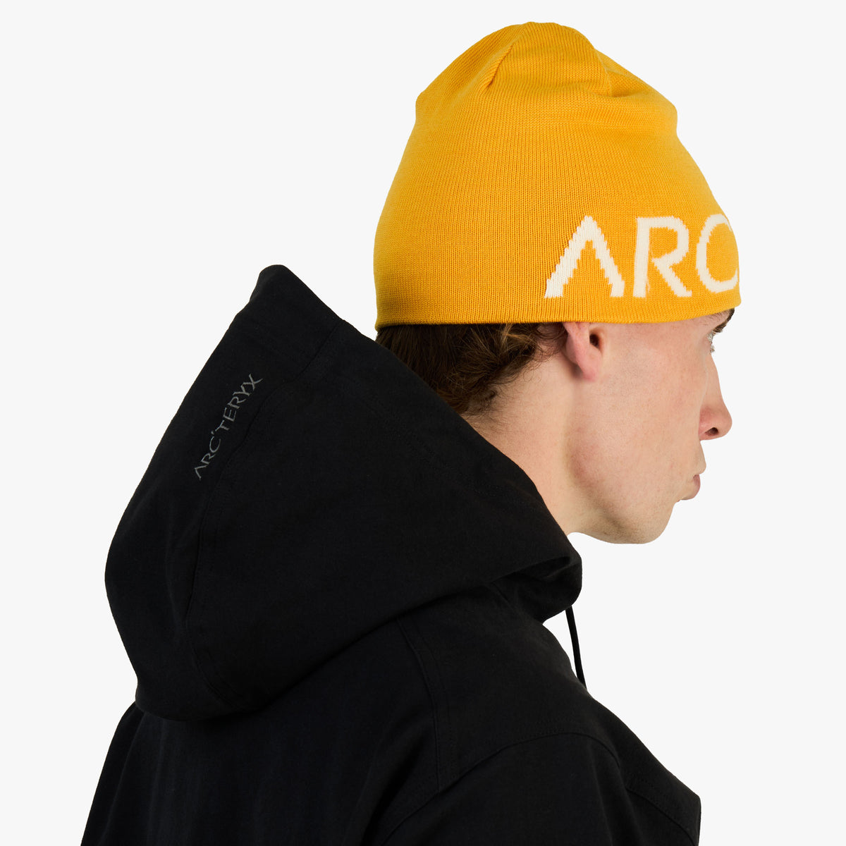 Arc'teryx Word Head Toque Larch / Arctic Silk