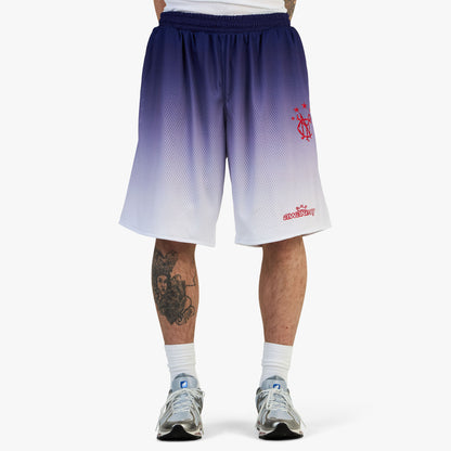 Awake NY Gradient Shorts / Blue