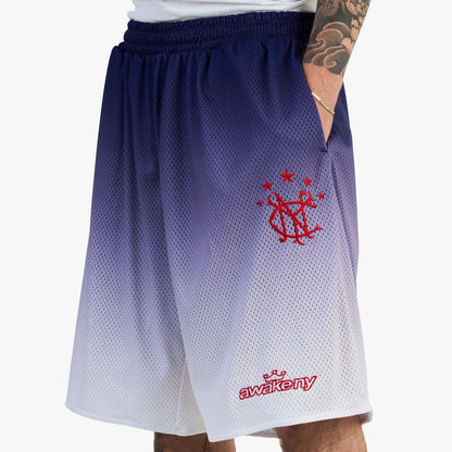 Awake NY Gradient Shorts / Blue