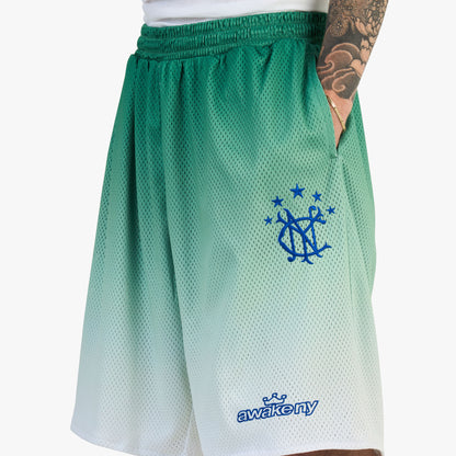 Awake NY Gradient Shorts / Green