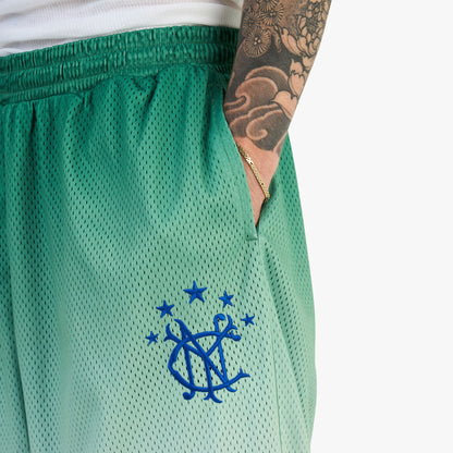 Awake NY Gradient Shorts / Green
