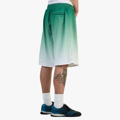 Awake NY Gradient Shorts / Green