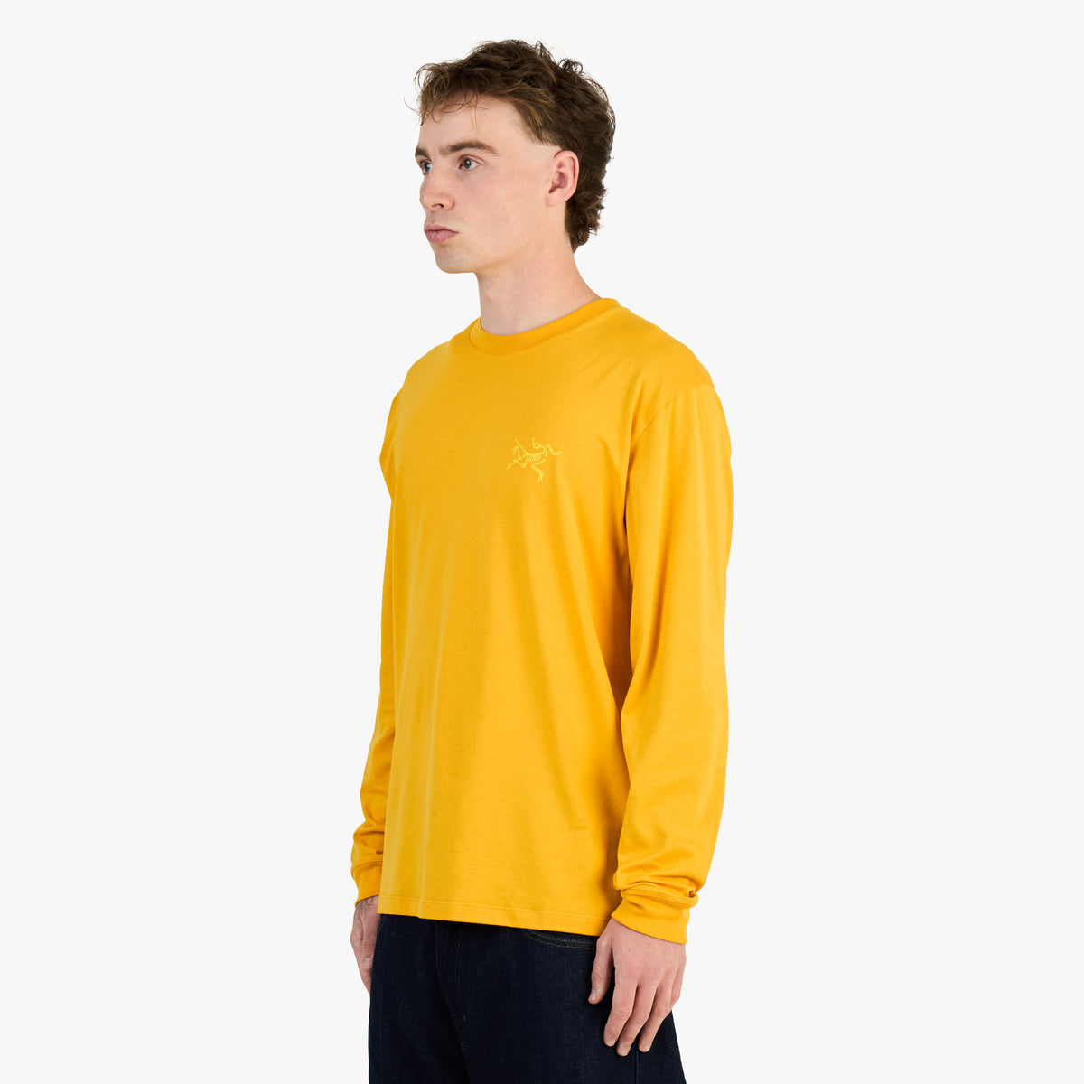Arc'teryx Kragg SL LS Larch