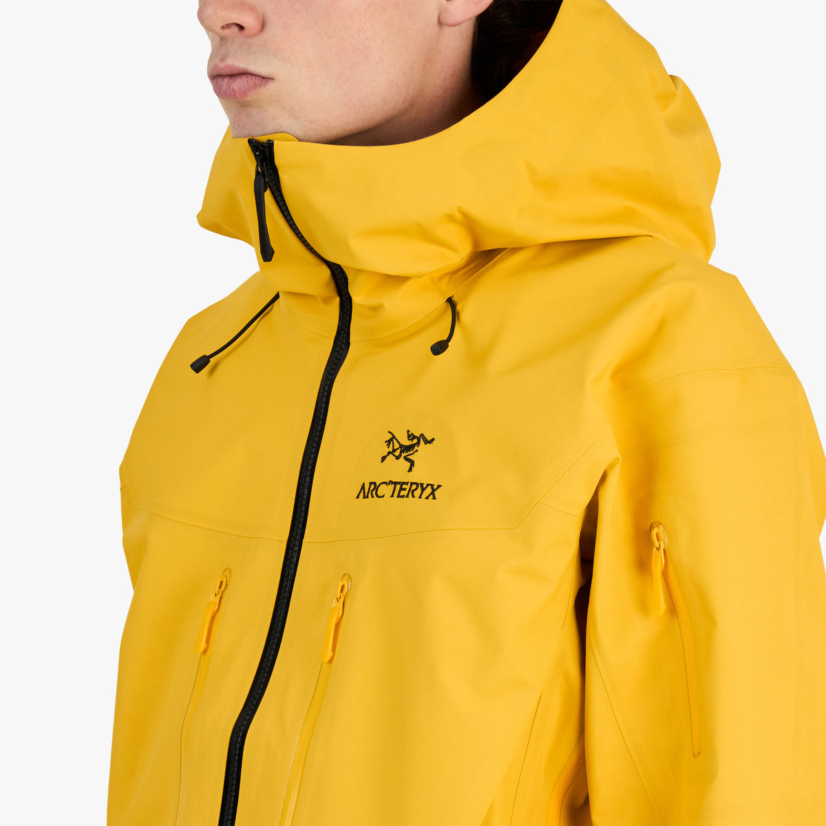 Arc'teryx Alpha SV Jacket / Larch