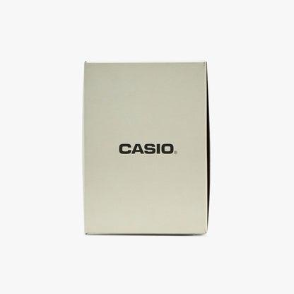 Casio LTP-B150D-7BV Silver / Silver