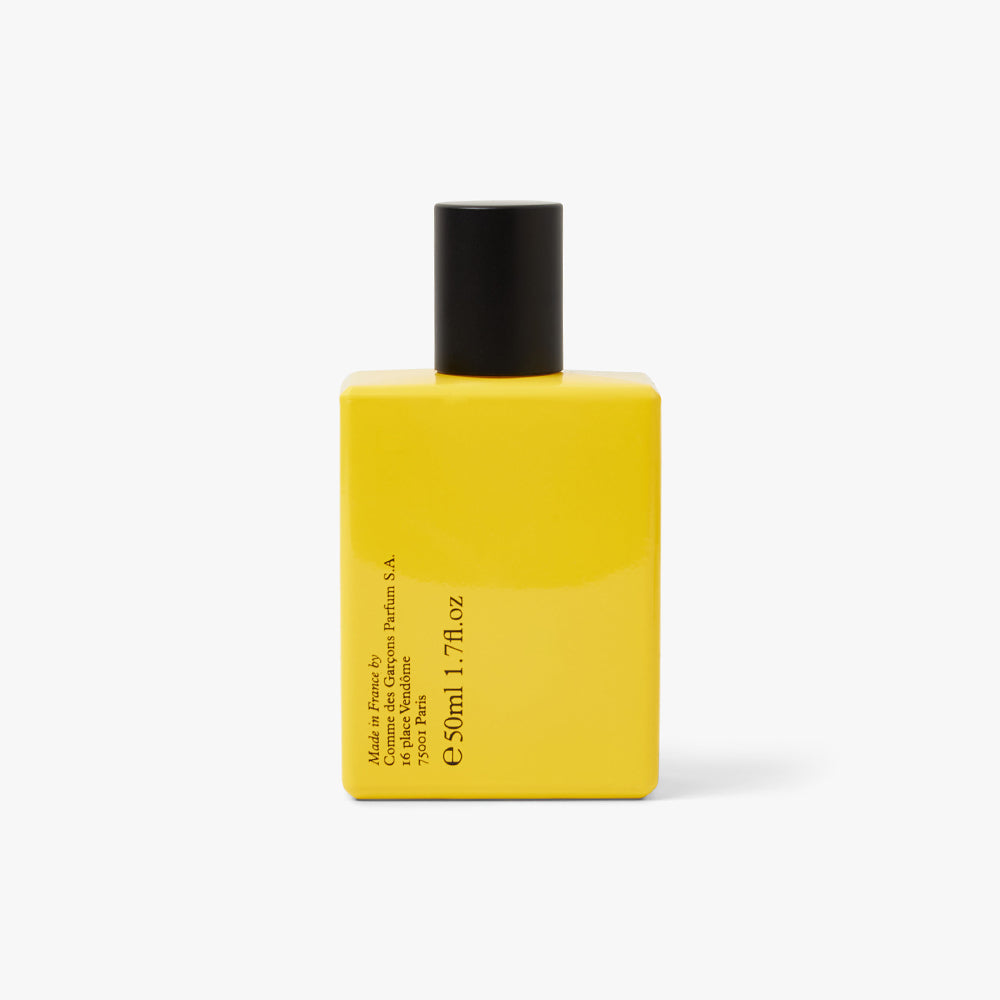 COMME des GARÇONS PARFUM x Monocle Scent 3 Sugi / 50ml – Livestock