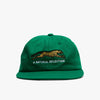 Brother Brother Natural Technicolor Selection Pine Green 5