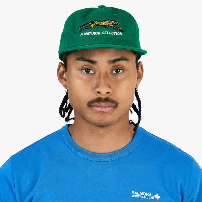Brother Brother Natural Technicolor Selection Pine Green 1