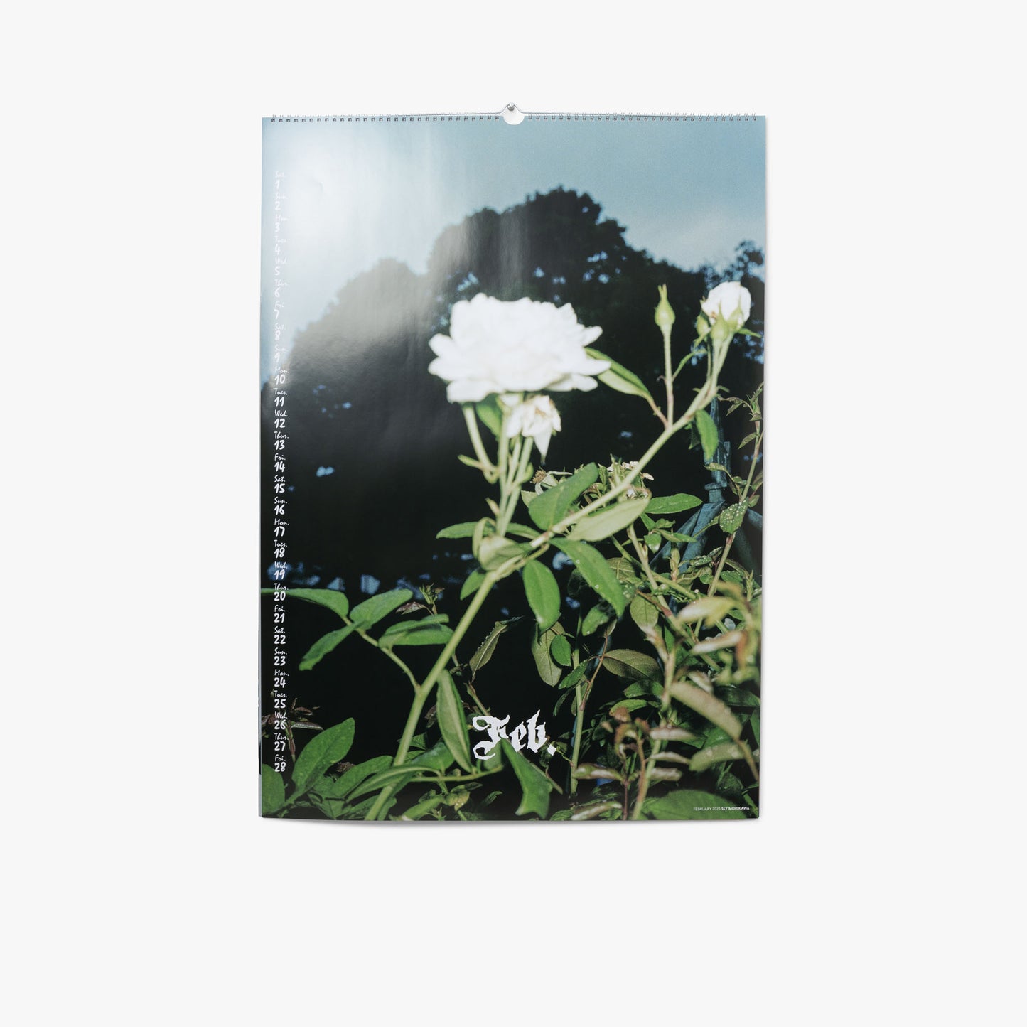 SNEEZE Magazine 2025 Calendar