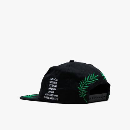 Casquette Mister Green Worldwide / Noire