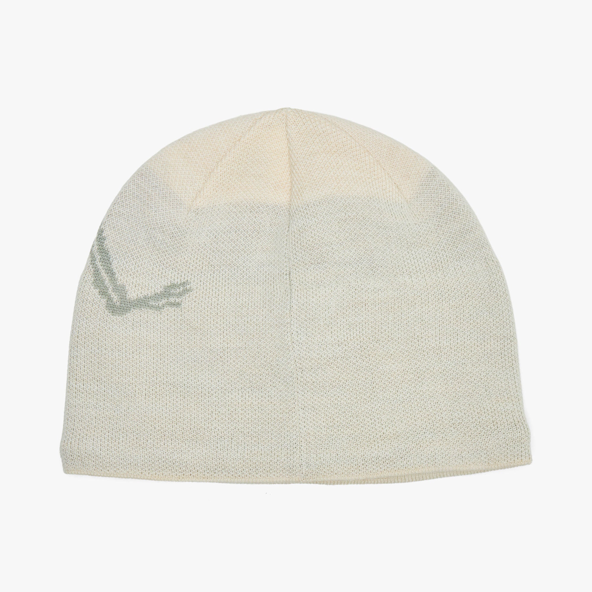 Arc'teryx Bird Head Toque Sea Salt / Habitat – Livestock