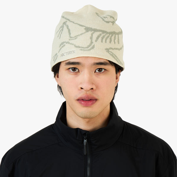 Arc'teryx Bird Head Toque Sea Salt / Habitat – Livestock