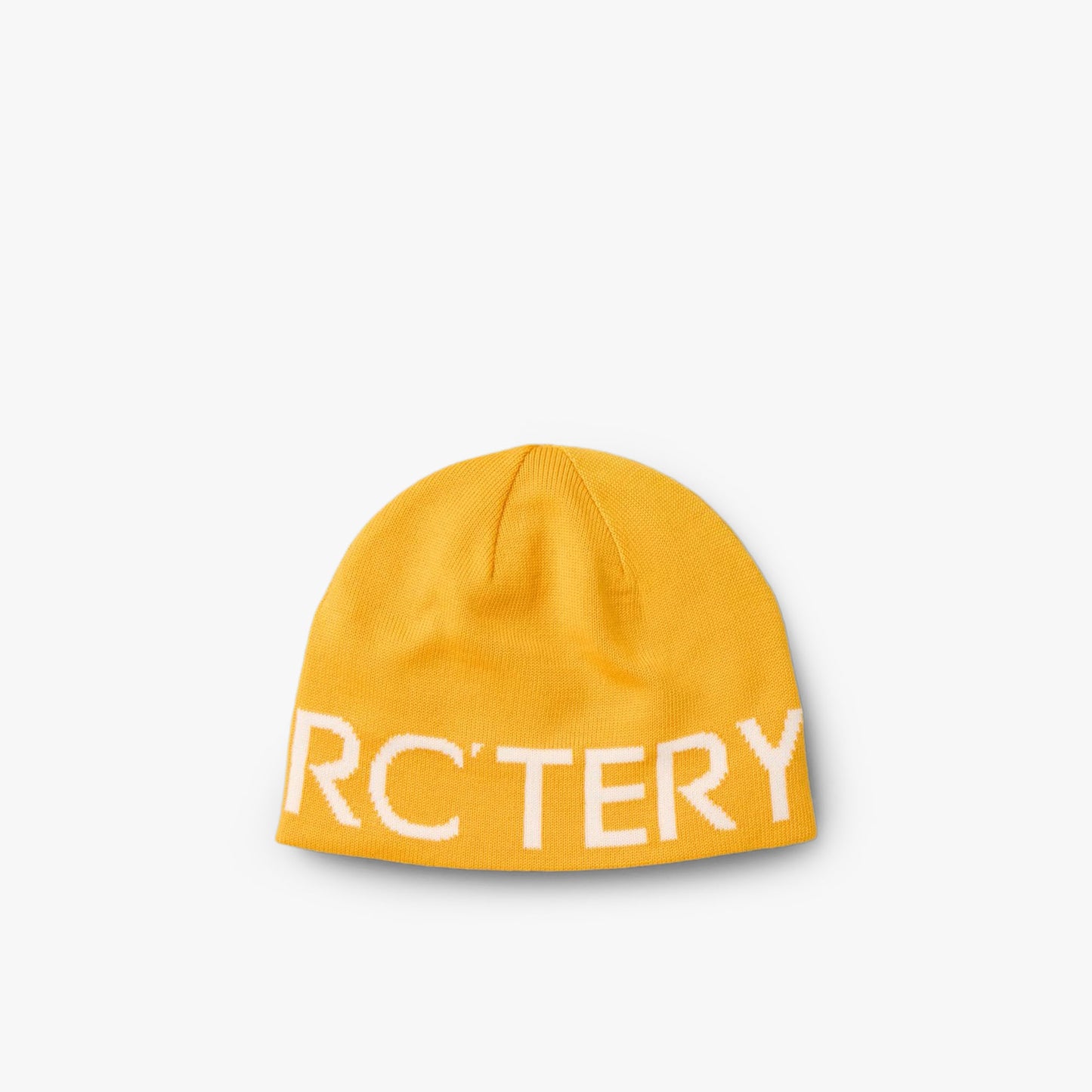 Arc'teryx Bonnet Word Head Mélèze / Soie arctique