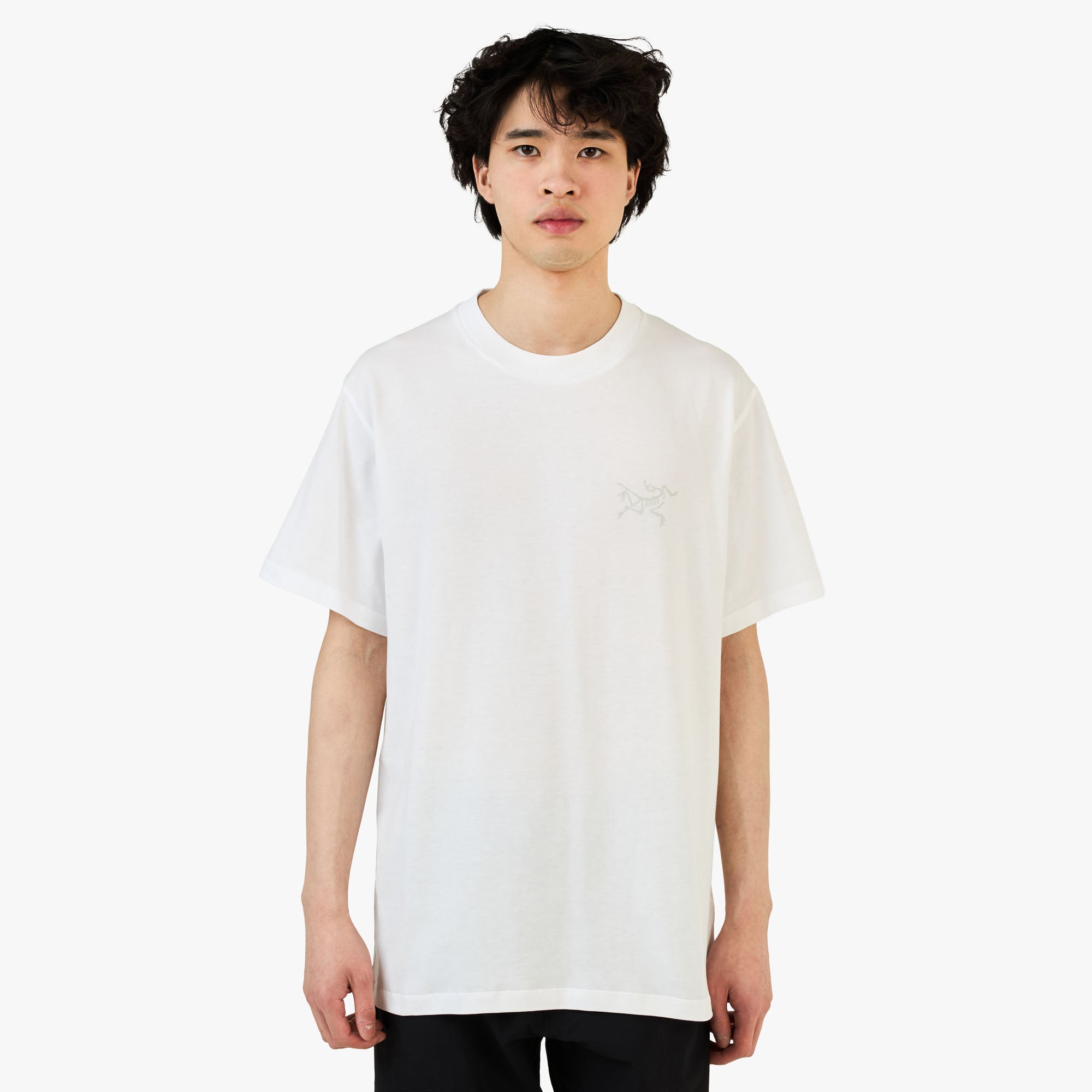 ARC'TERYX KRAGG SL COTTON SS Tシャツ L Arc'teryx Kragg SL Cotton SS Tee White – Livestock