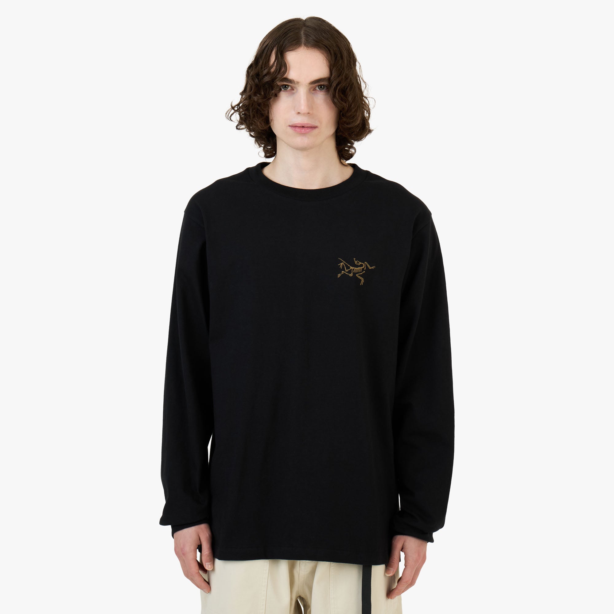 ARC’TERYX Kragg Cotton LS Men's 黒 サイズM Arc'teryx Kragg Cotton LS / 24K Black – Livestock