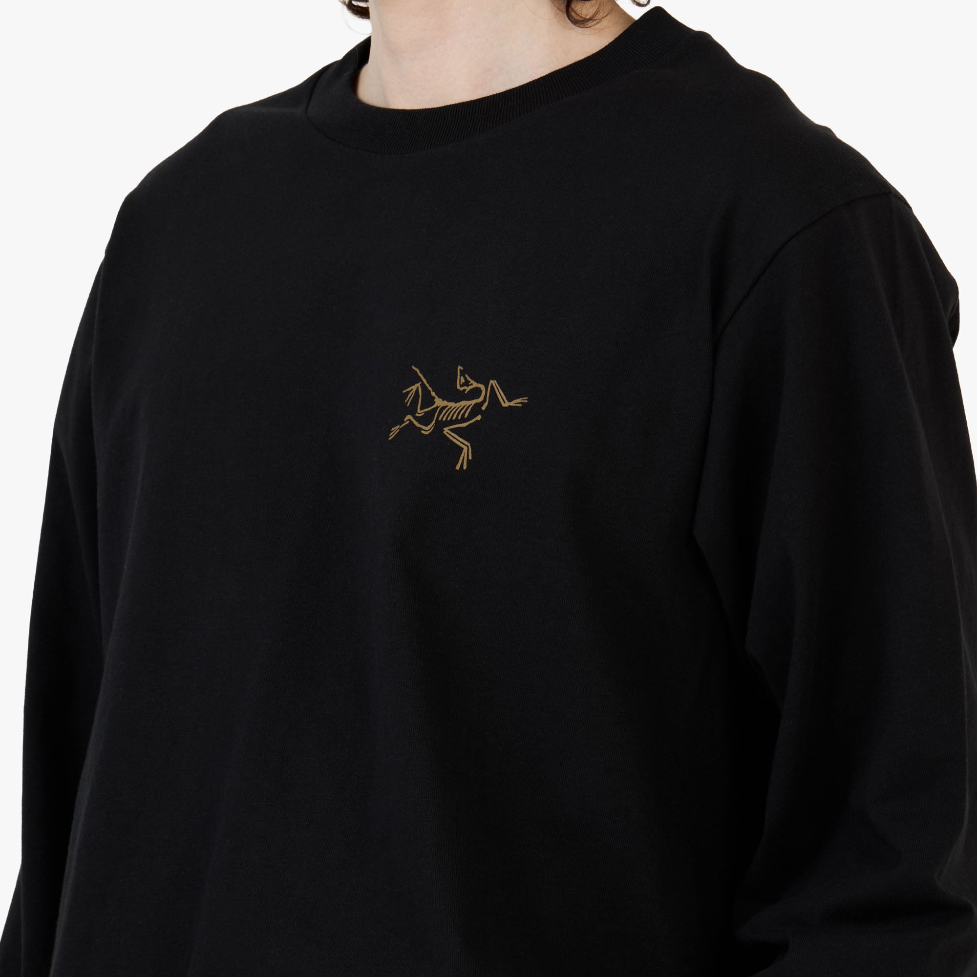 Arc'teryx Kragg Cotton LS / 24K Black – Livestock