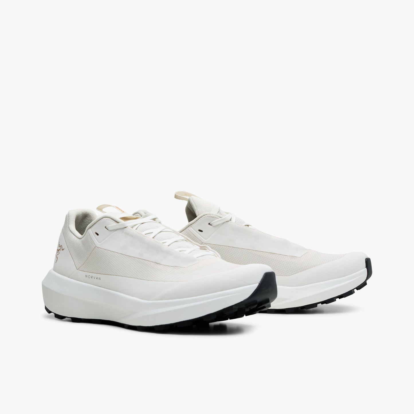 Arc'teryx Norvan LD 4 GTX Soie Arctique / Soie Arctique