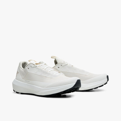 Arc'teryx Norvan LD 4 GTX Soie Arctique / Soie Arctique