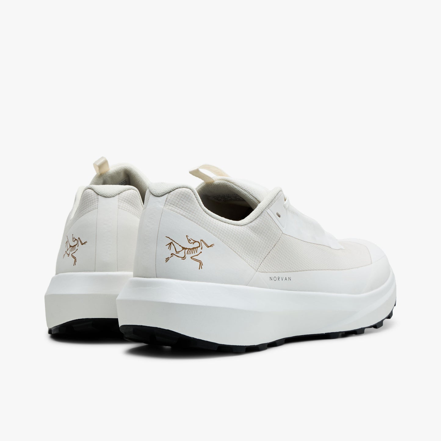 Arc'teryx Norvan LD 4 GTX Soie Arctique / Soie Arctique