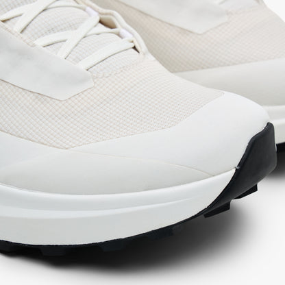Arc'teryx Norvan LD 4 GTX Soie Arctique / Soie Arctique