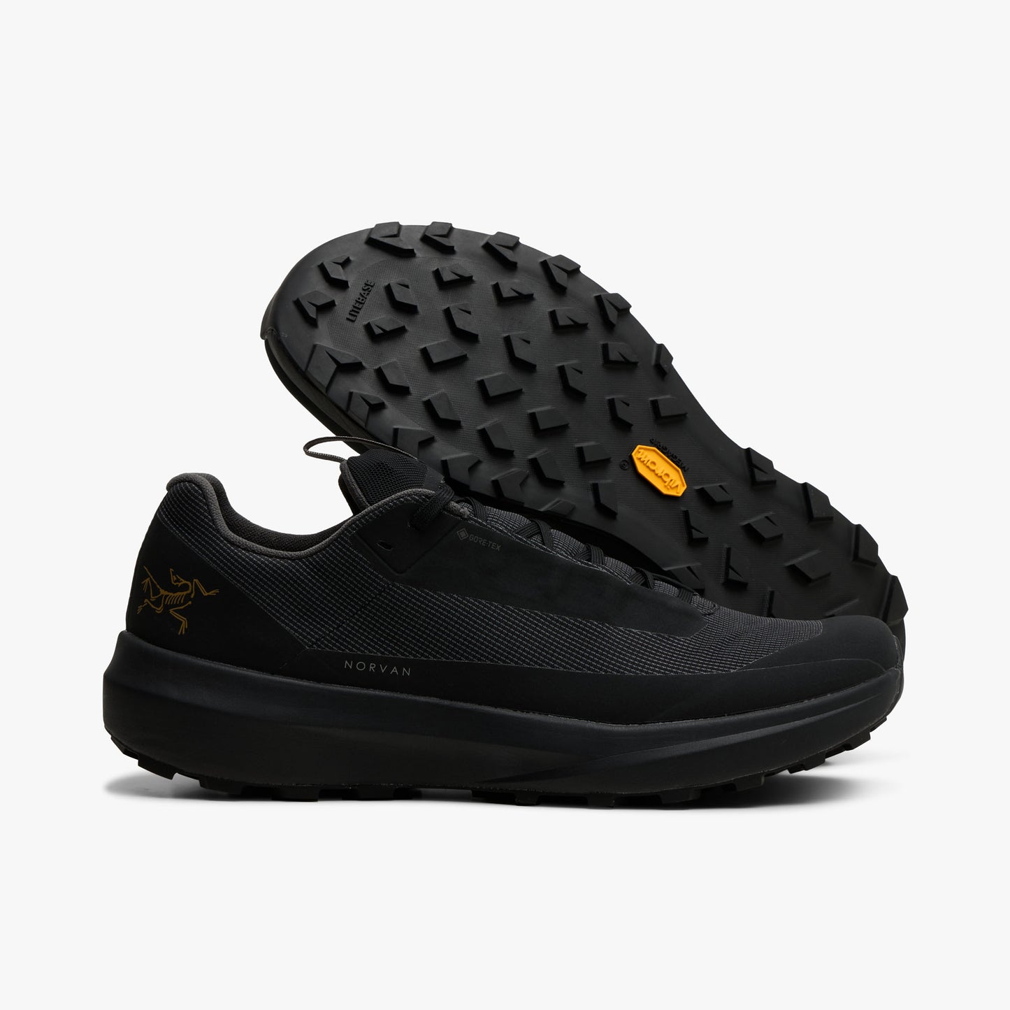 Arc'teryx Norvan LD4 GTX Black / Black