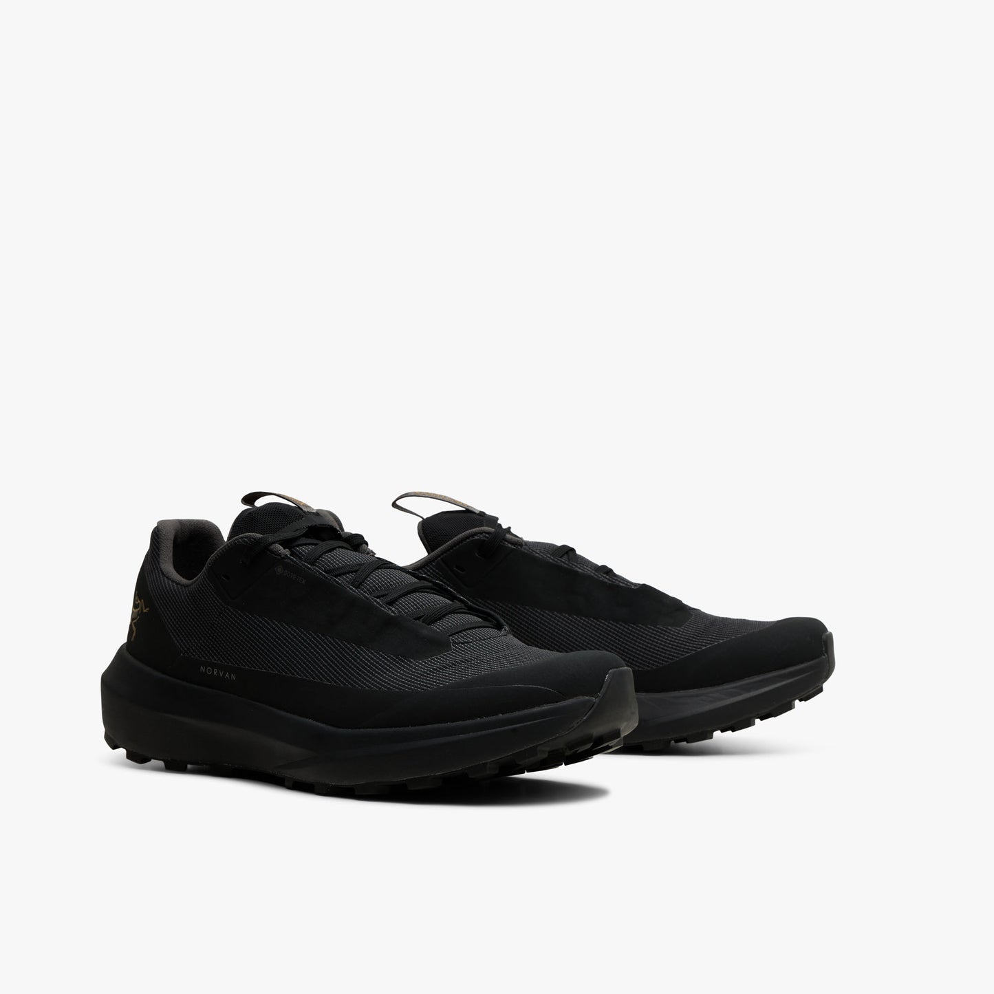 Arc'teryx Norvan LD4 GTX Black / Black