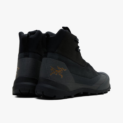Arc'teryx Konseal Trek. Rear view of a pair of hiking boots showing black high-top collar shafts, dark graphite synthetic heel counters with gold Archaeopteryx bird logos, heel pull loops, and black midsoles. 