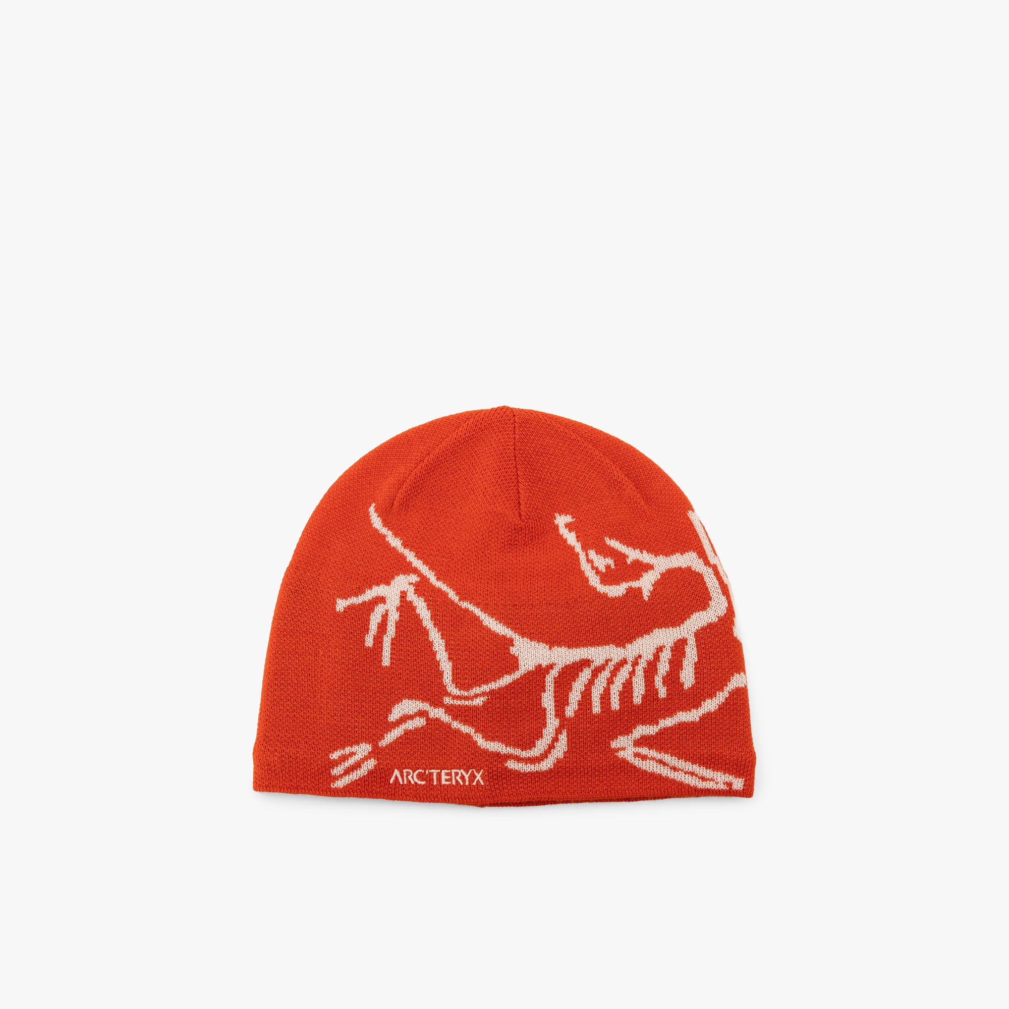 Arc'teryx Bird Tuque / Dynastie / Soie Arc 1